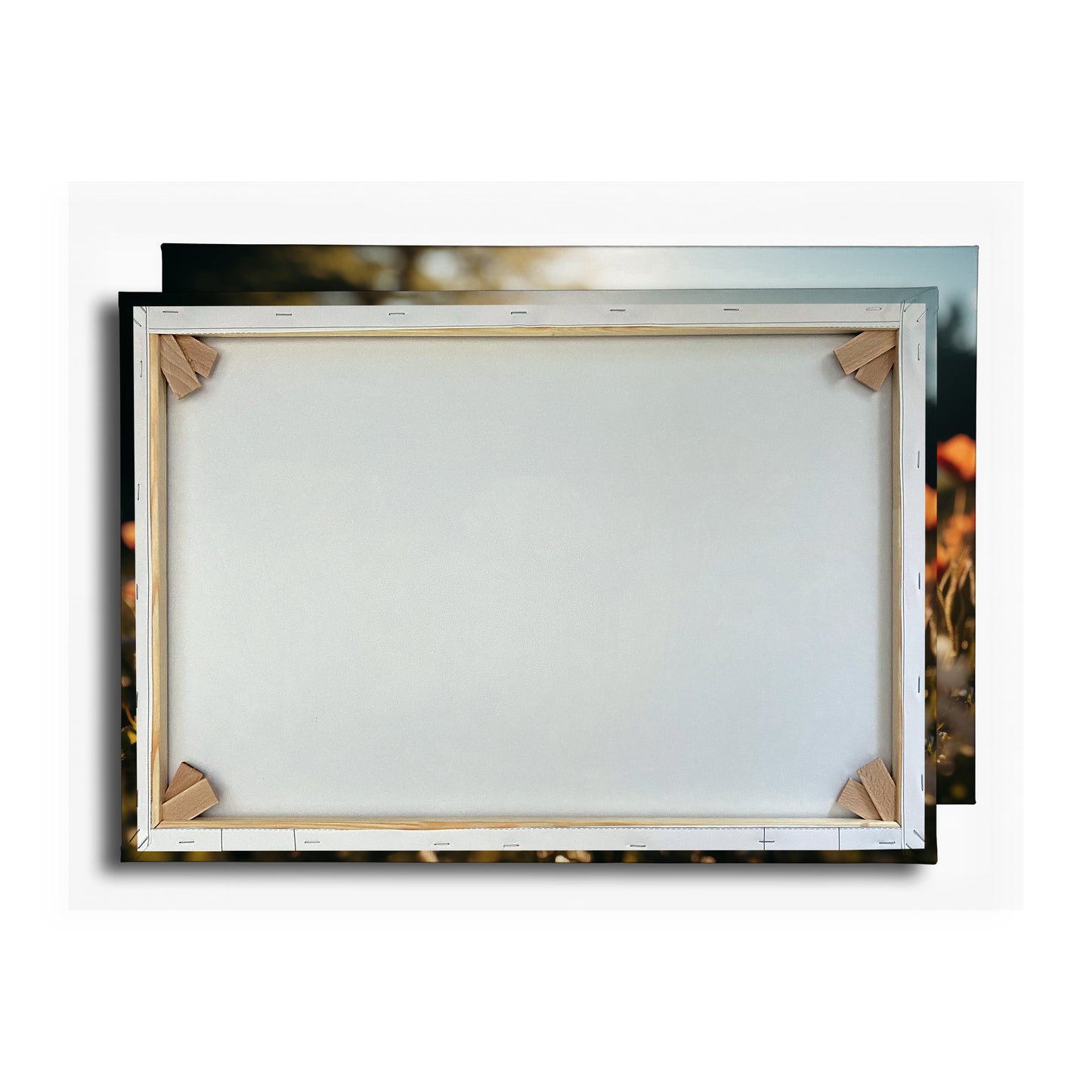 Vorschaubild Rückwand