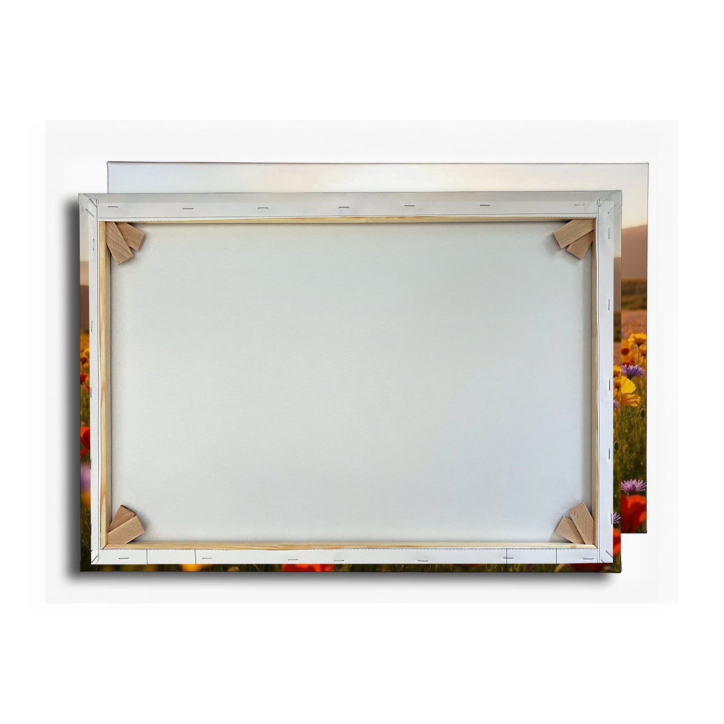 Vorschaubild Rückwand