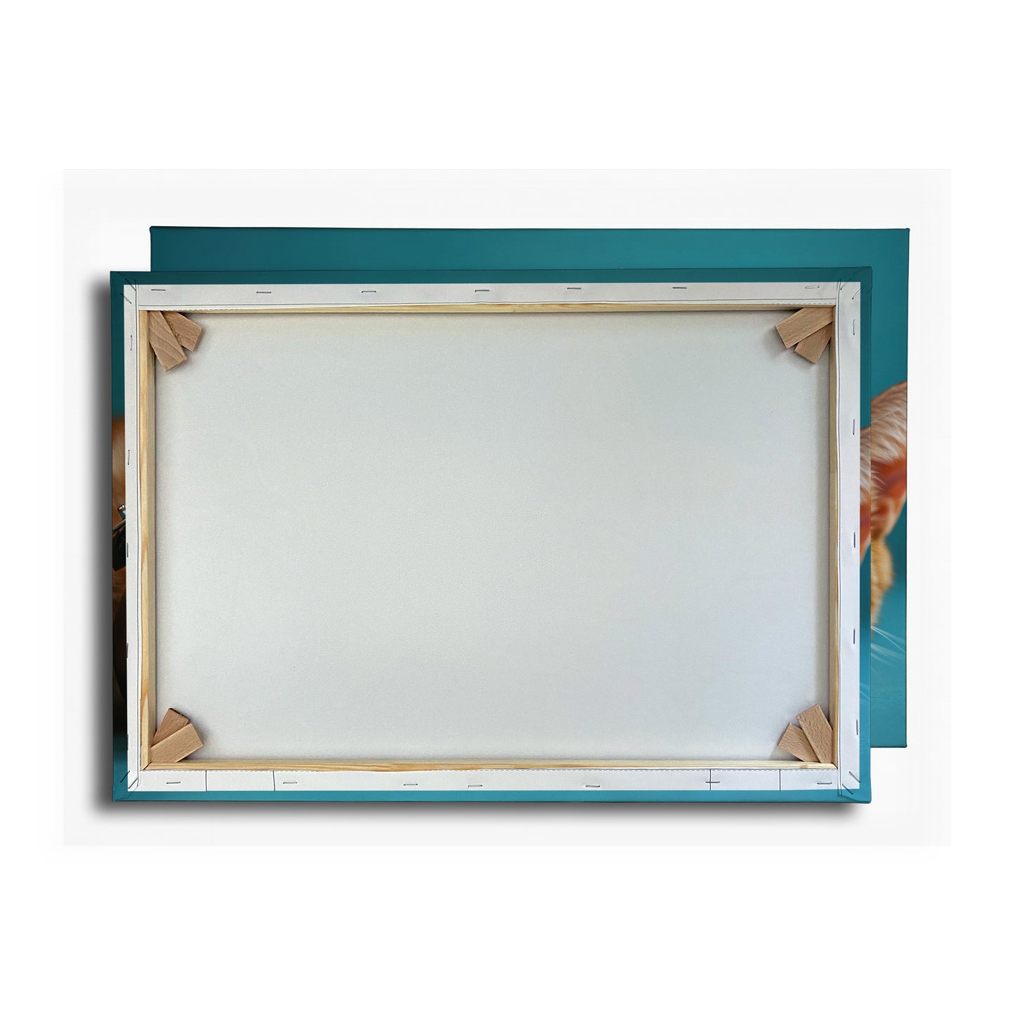 Vorschaubild Rückwand