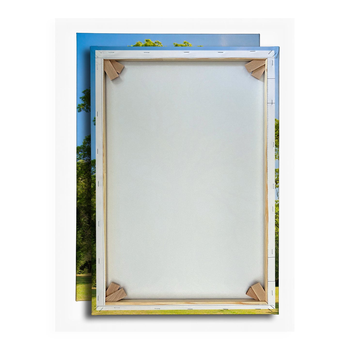 Vorschaubild Rückwand