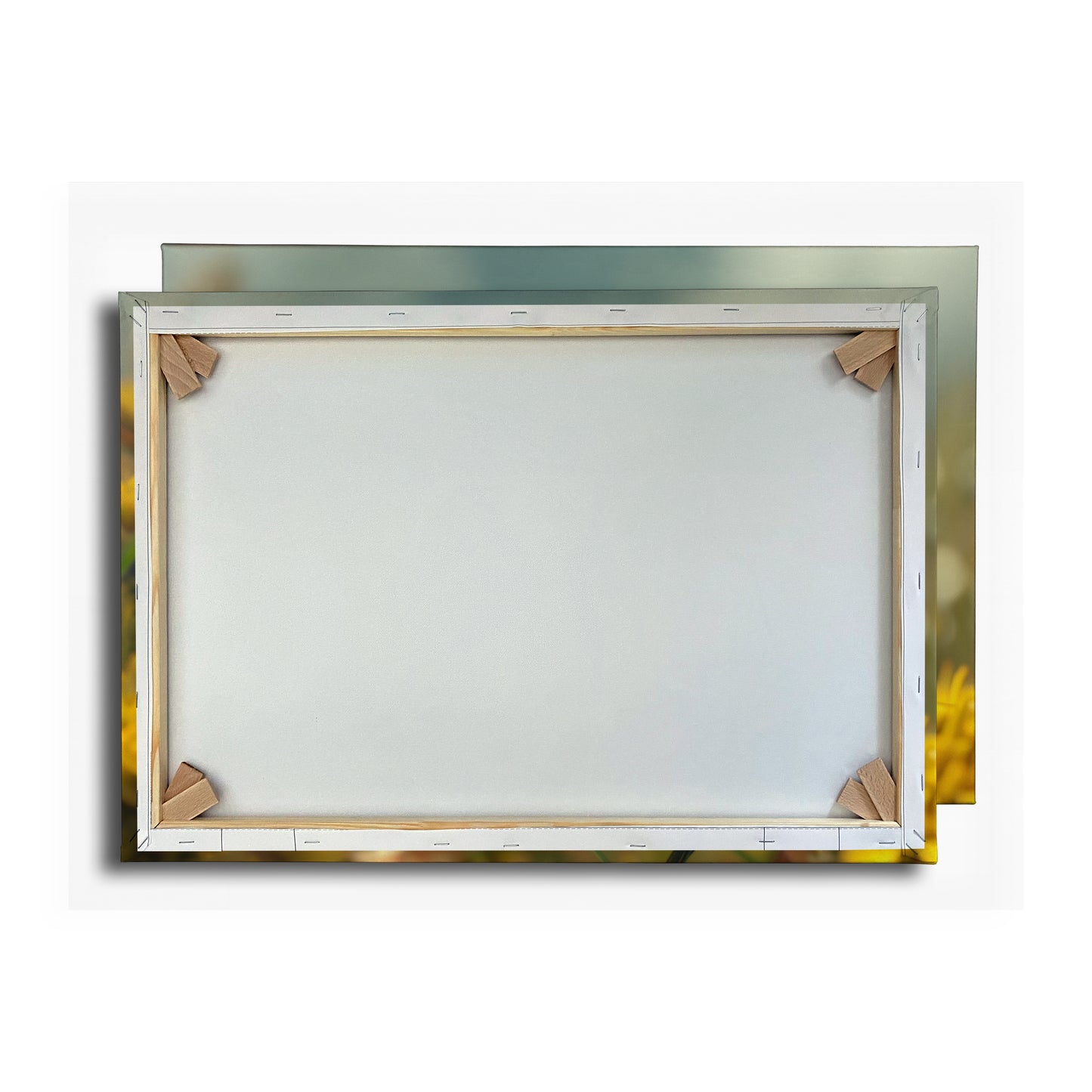 Vorschaubild Rückwand