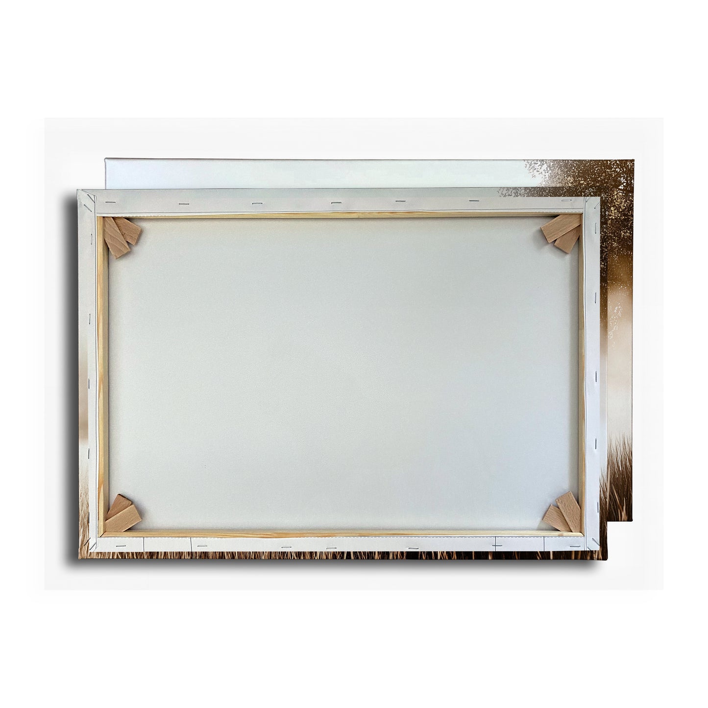 Vorschaubild Rückwand