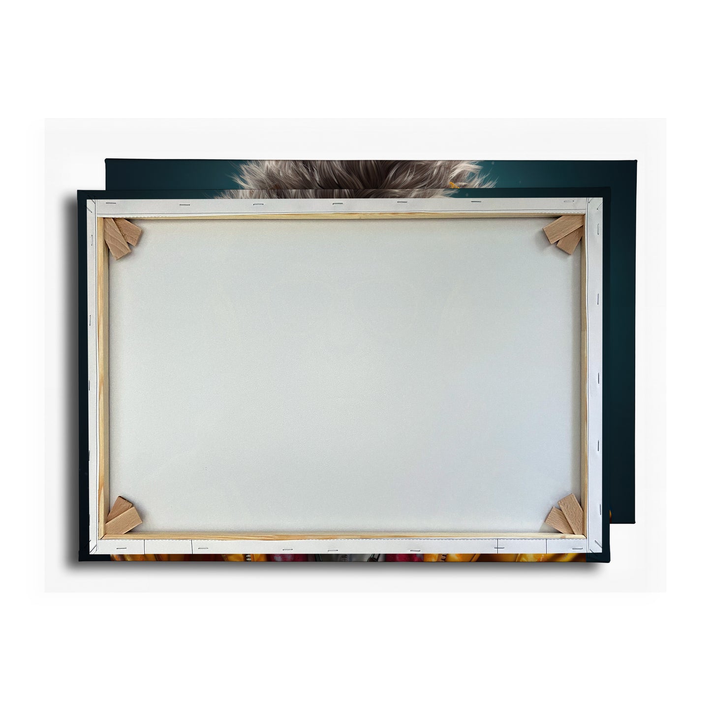 Vorschaubild Rückwand