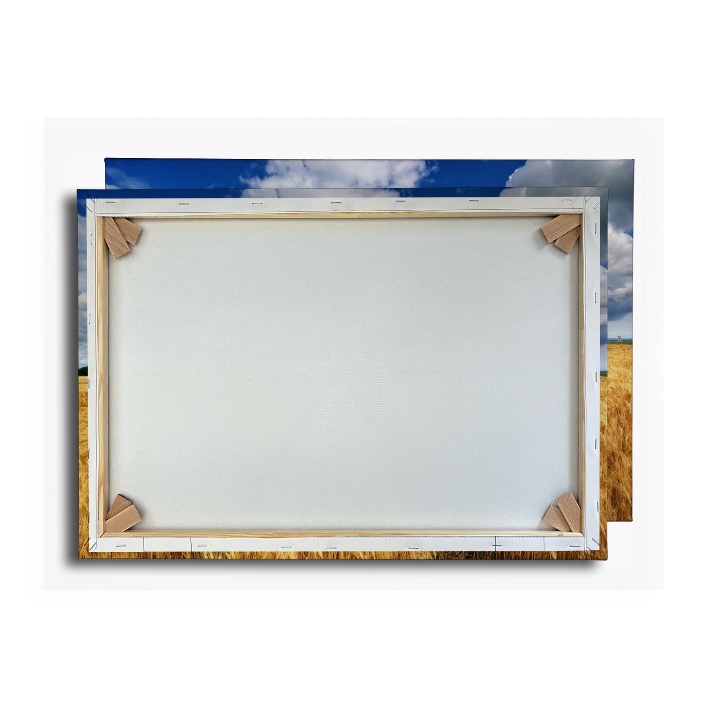Vorschaubild Rückwand