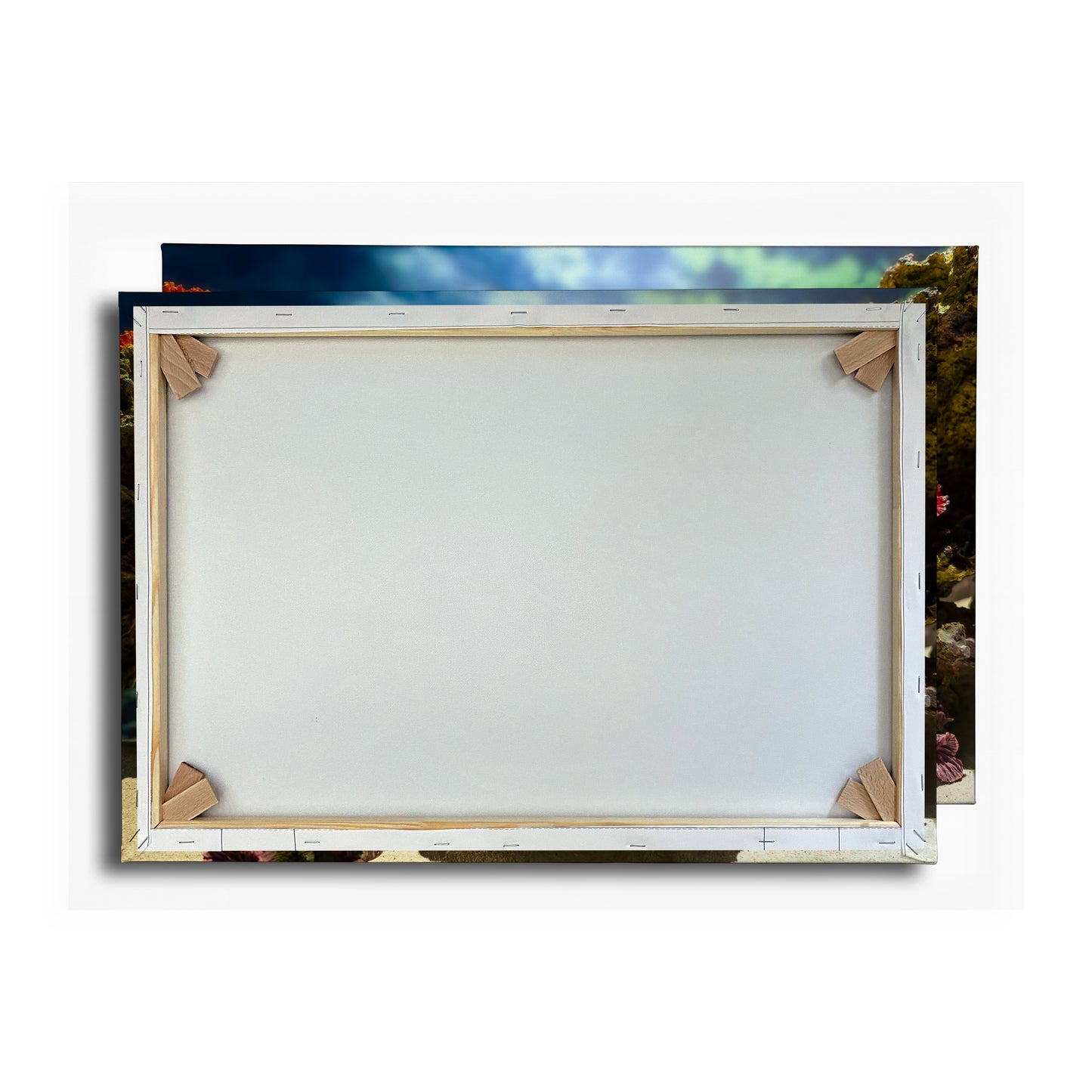 Vorschaubild Rückwand