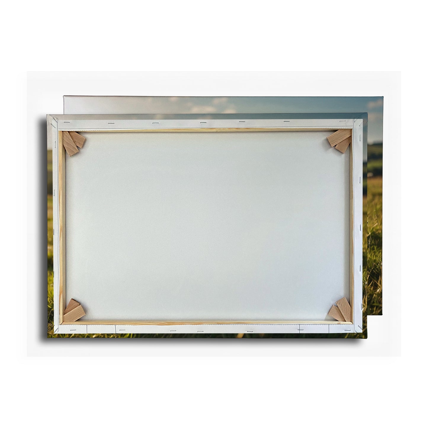 Vorschaubild Rückwand