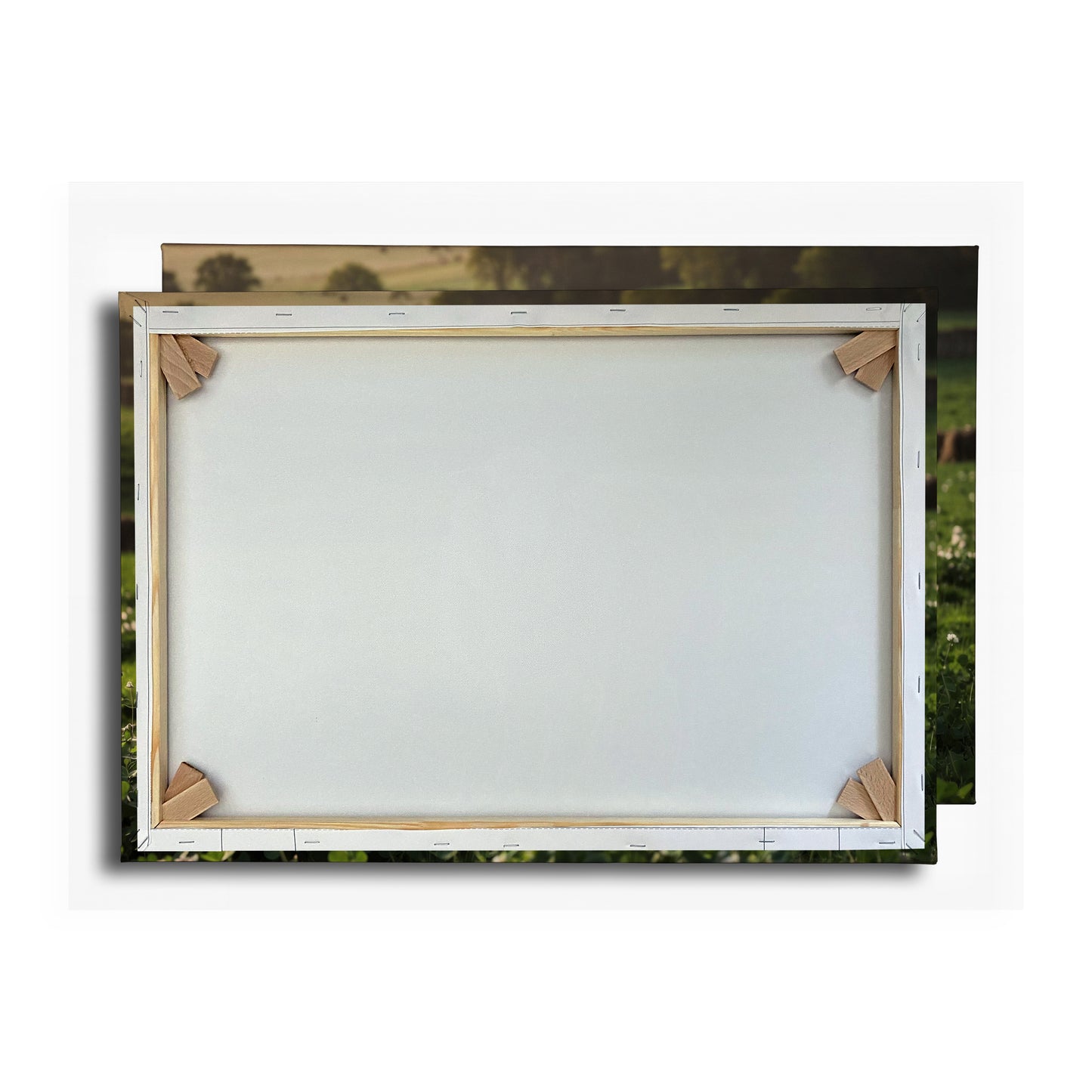 Vorschaubild Rückwand