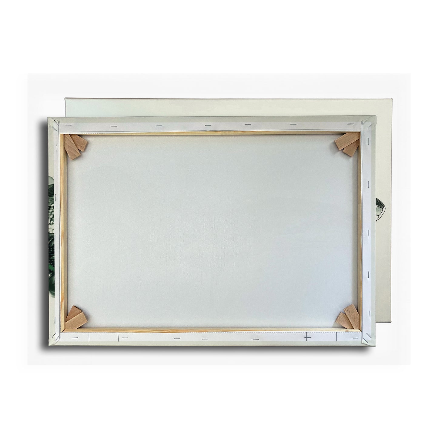 Vorschaubild Rückwand