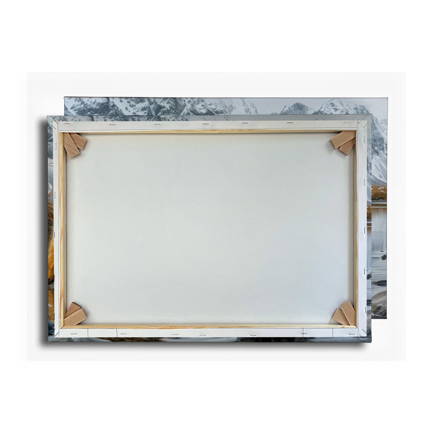 Vorschaubild Rückwand