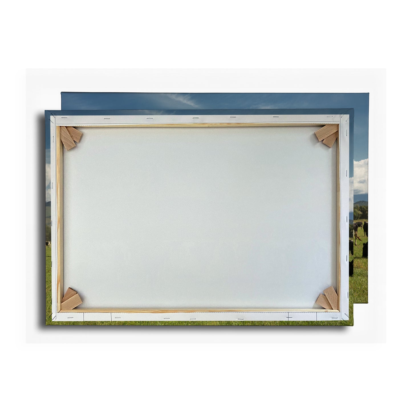 Vorschaubild Rückwand
