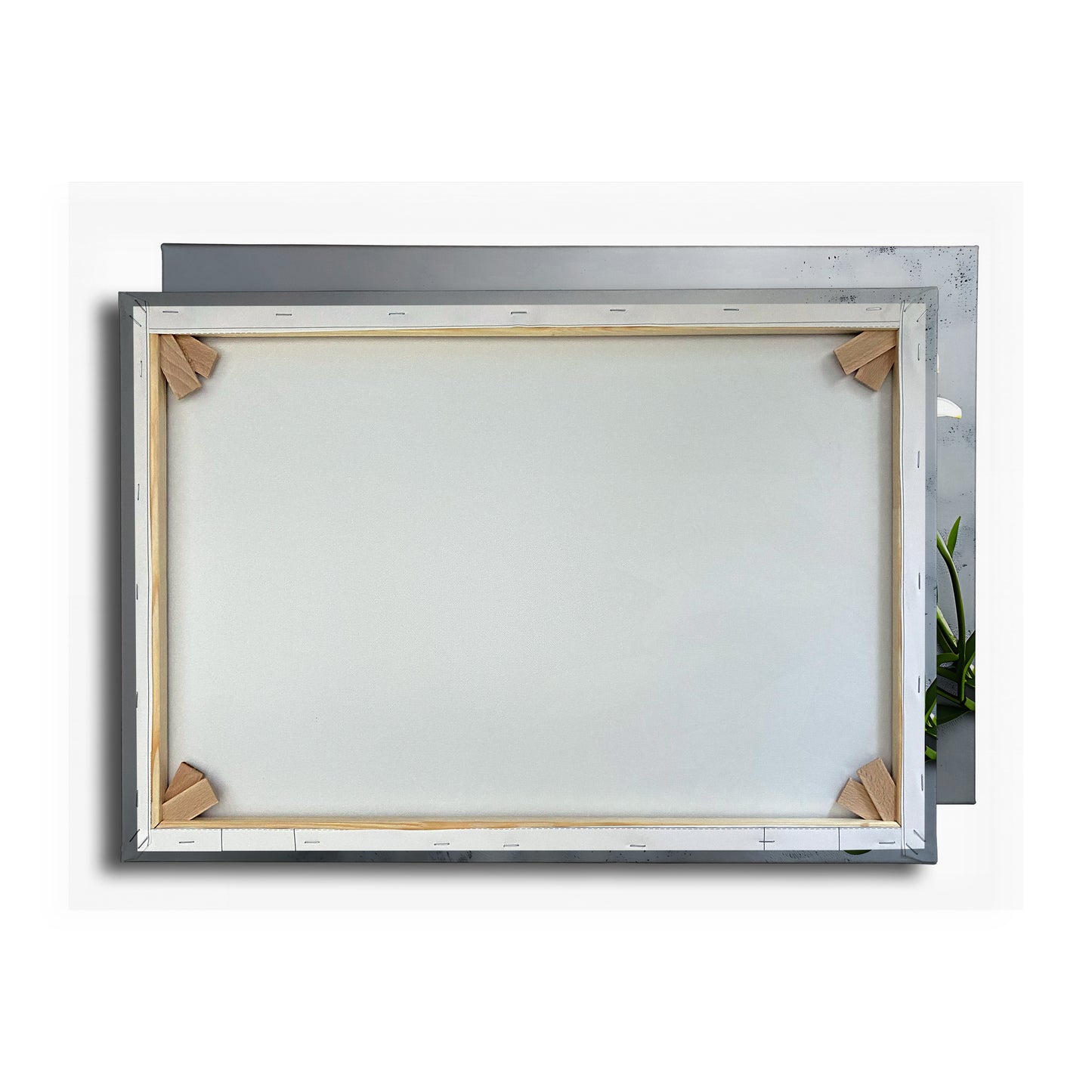 Vorschaubild Rückwand