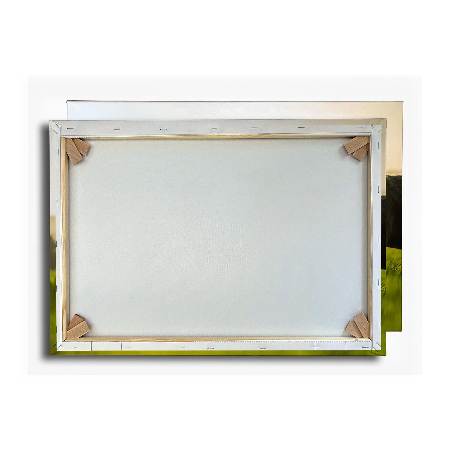 Vorschaubild Rückwand