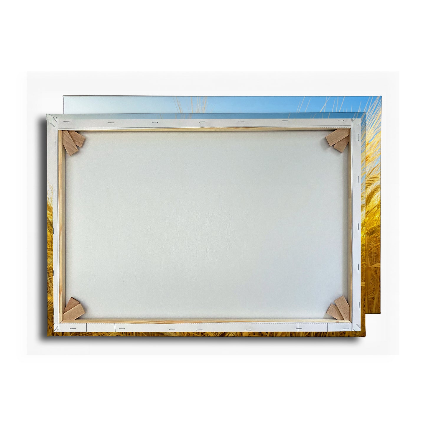 Vorschaubild Rückwand