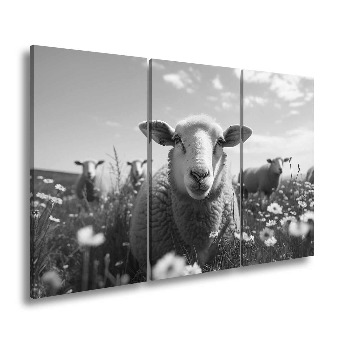 Hauptbild Schwarz & Weiß 3 Teilig