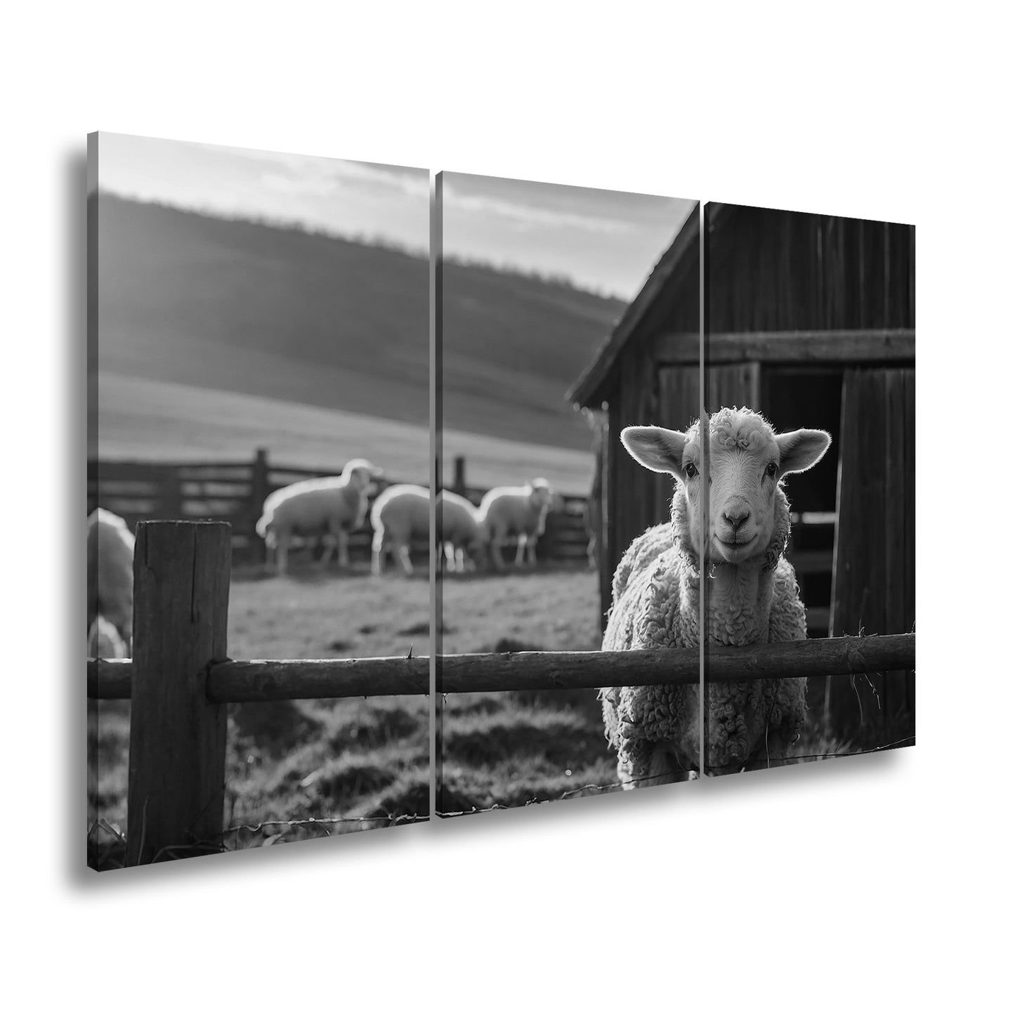 Hauptbild Schwarz & Weiß 3 Teilig