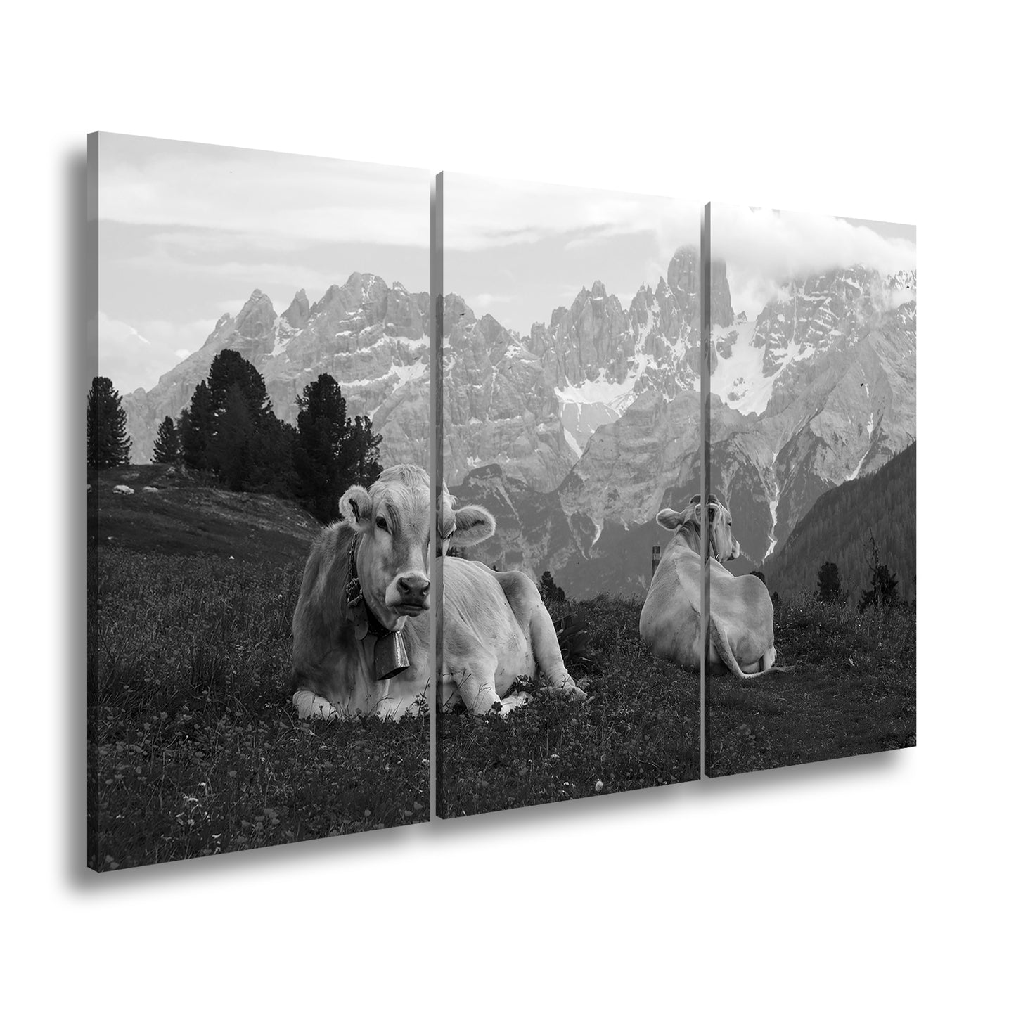 Hauptbild Schwarz & Weiß 3 Teilig