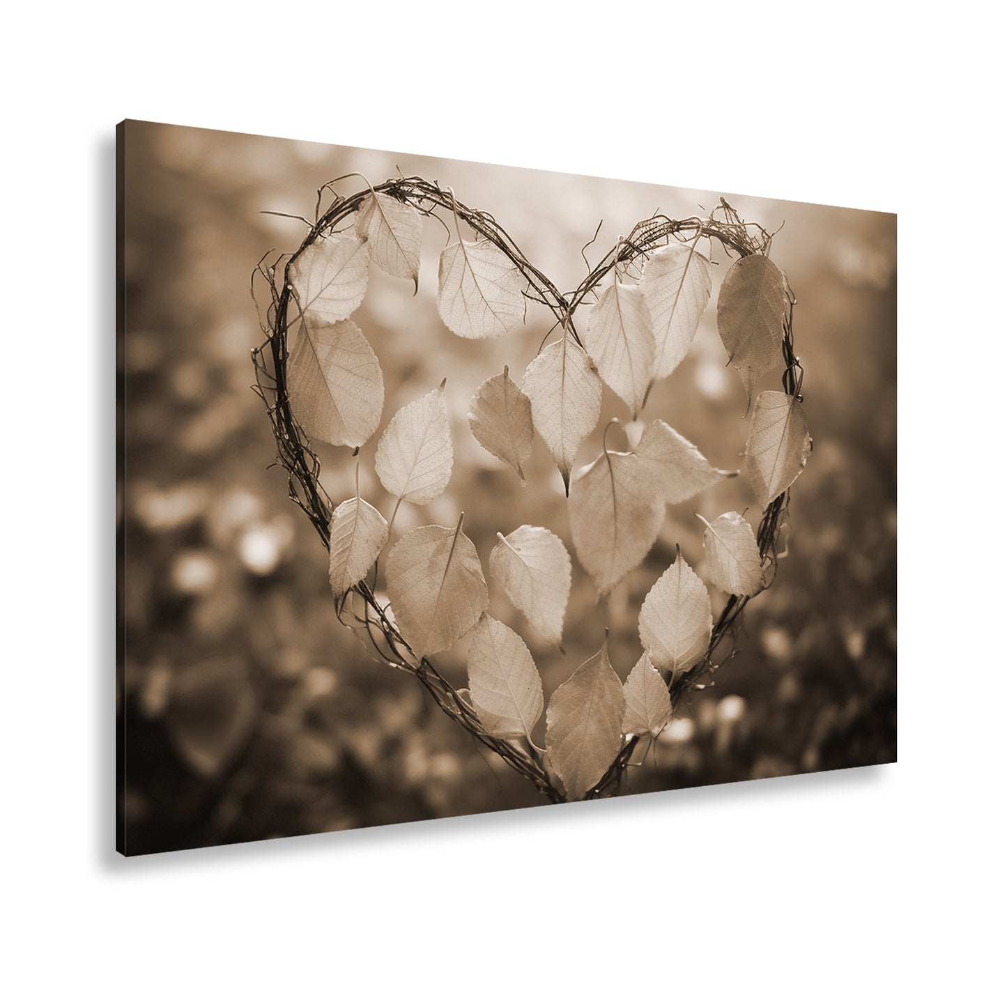Hauptbild Sepia Standart
