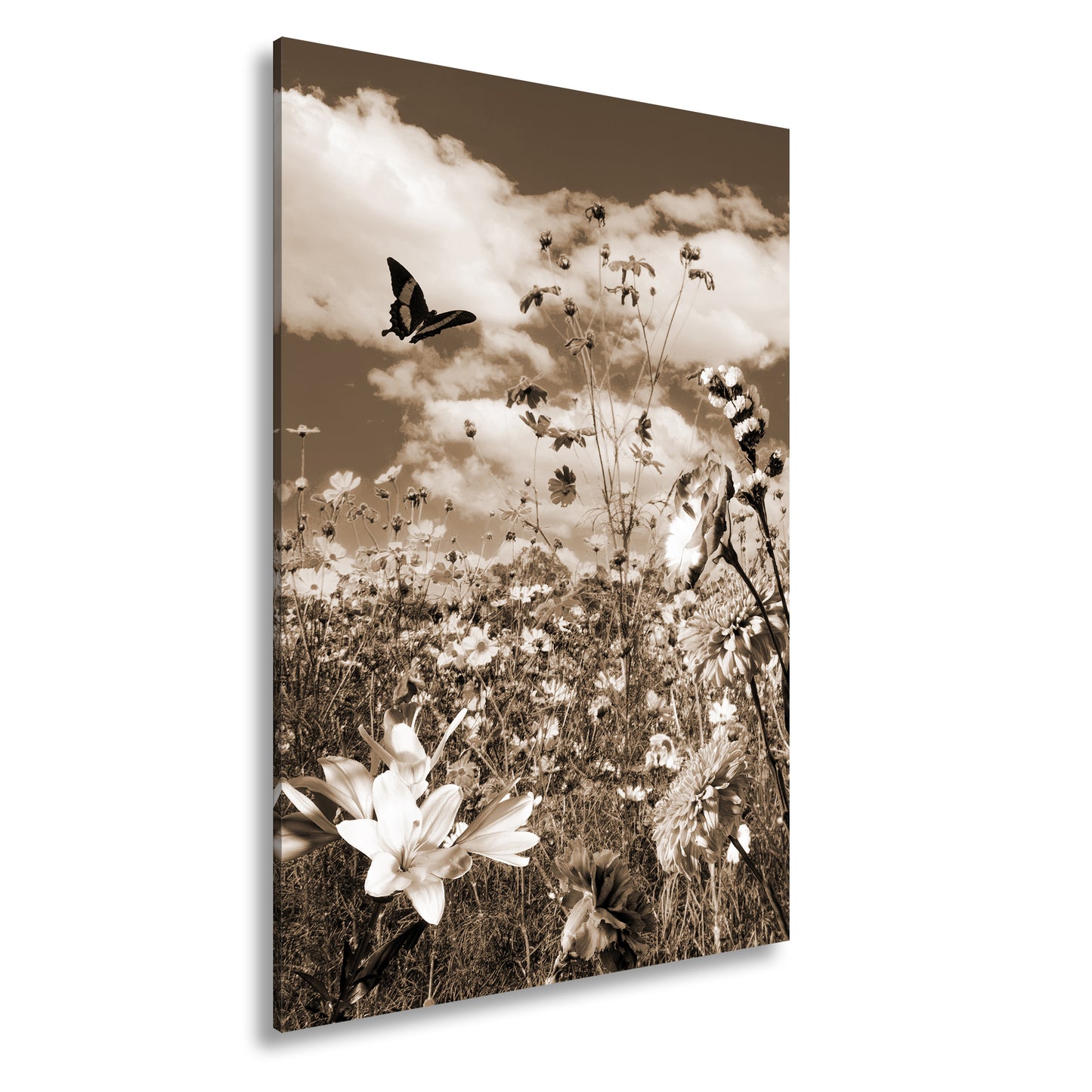 Hauptbild Sepia Standart