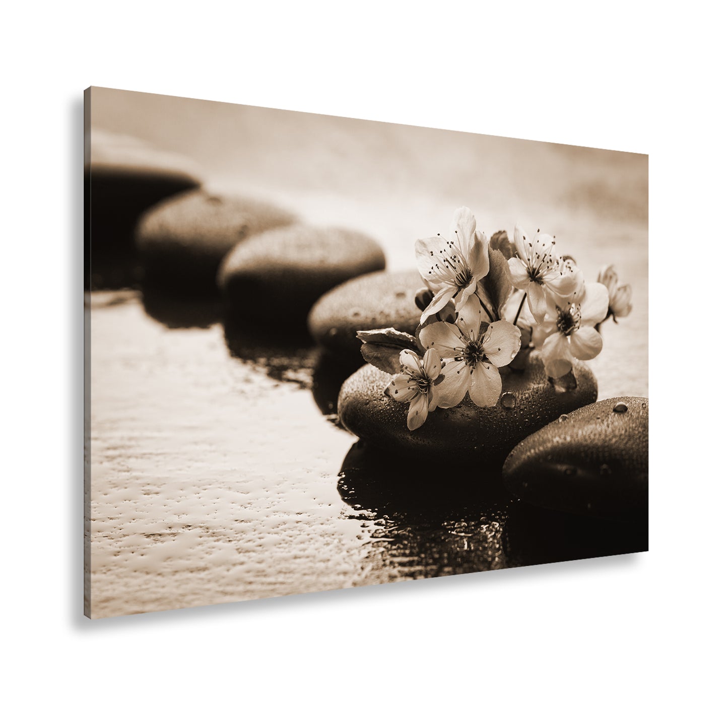 Hauptbild Sepia Standart