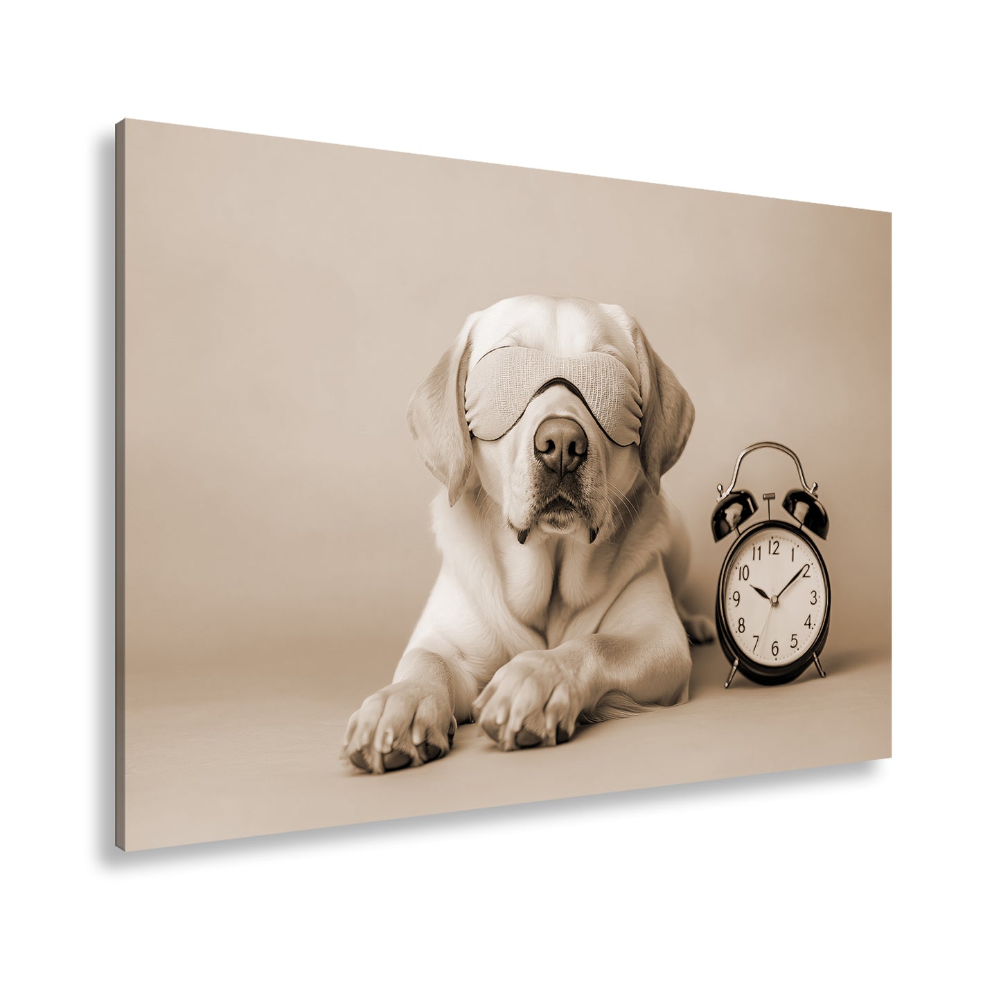 Hauptbild Sepia Standart