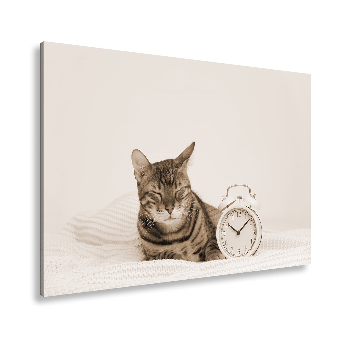 Hauptbild Sepia Standart