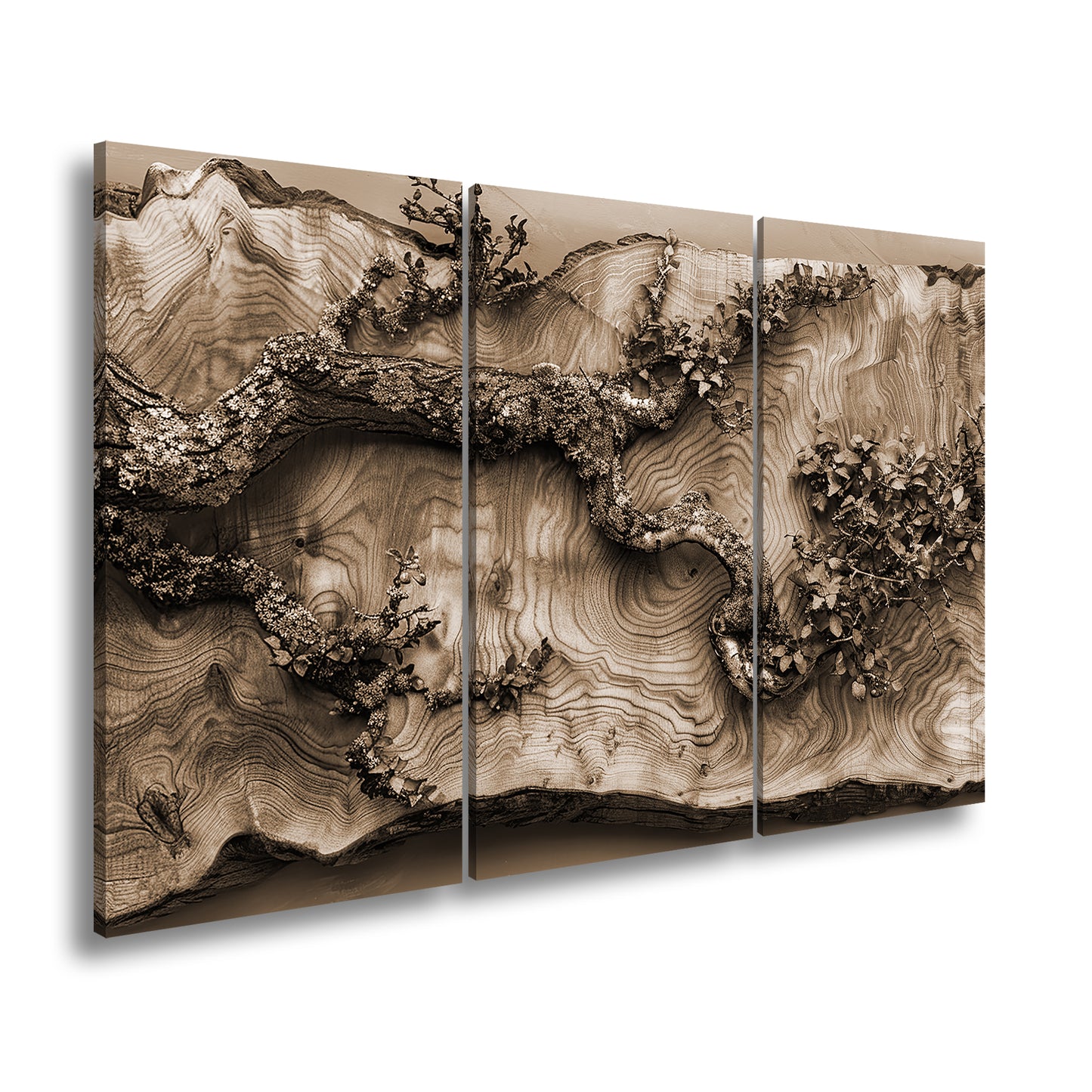 Hauptbild Sepia 3 Teilig