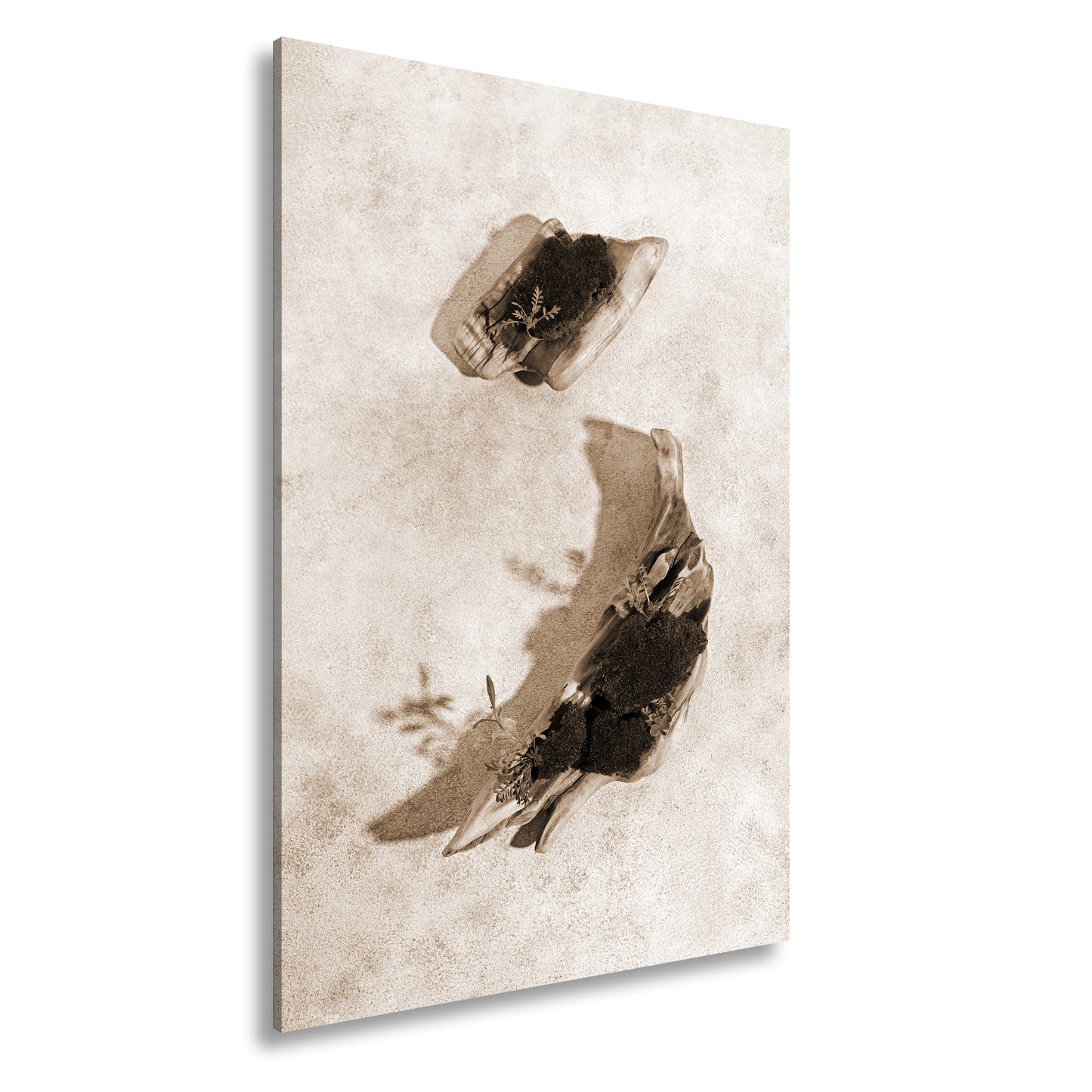 Hauptbild Sepia Standart