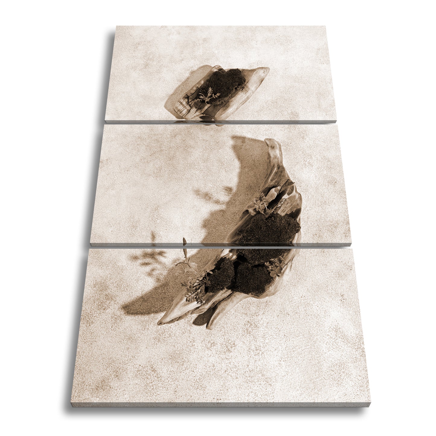 Hauptbild Sepia 3 Teilig