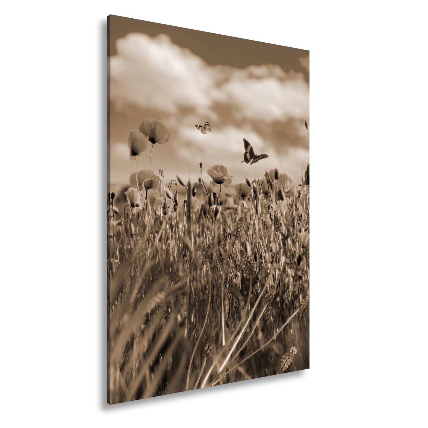 Hauptbild Sepia Standart