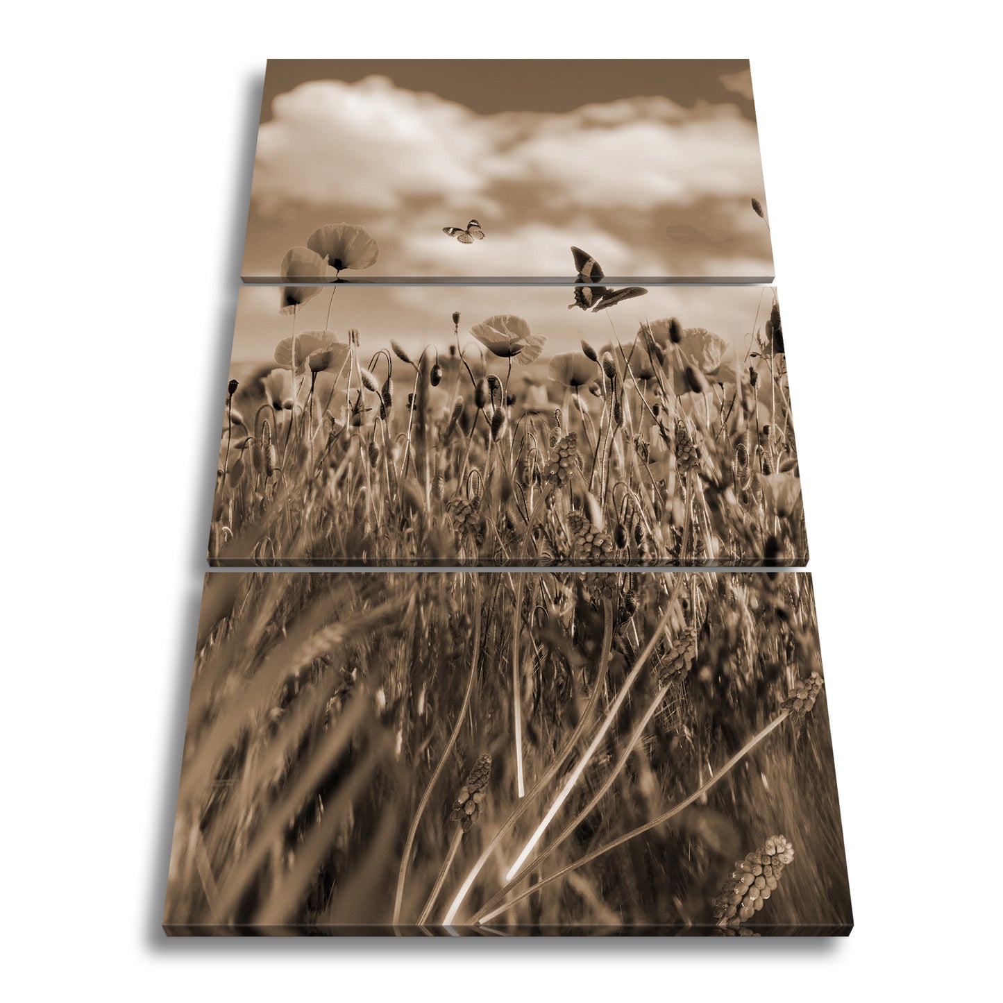 Hauptbild Sepia 3 Teilig