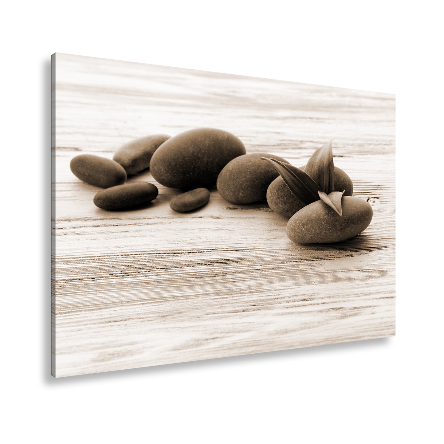 Hauptbild Sepia Standart