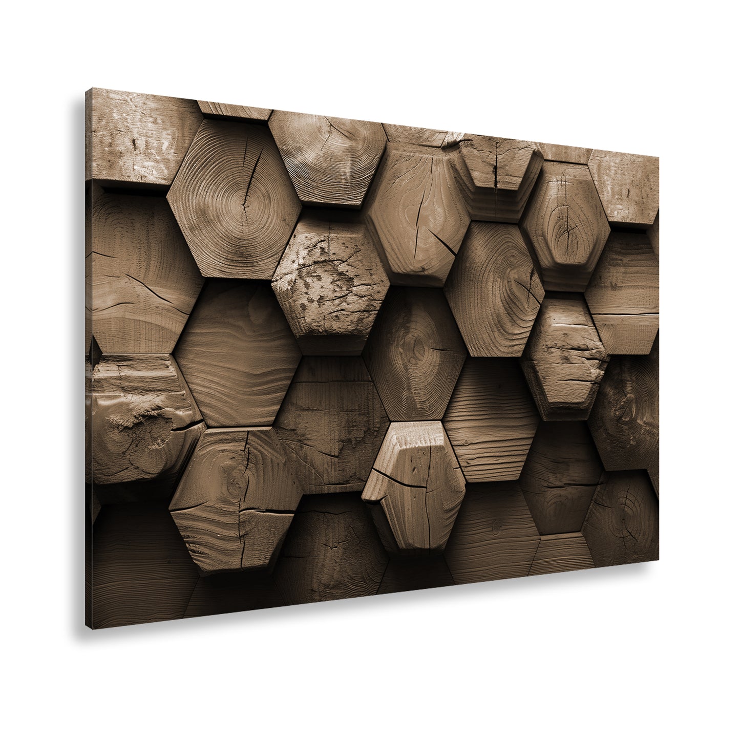 Hauptbild Sepia Standart