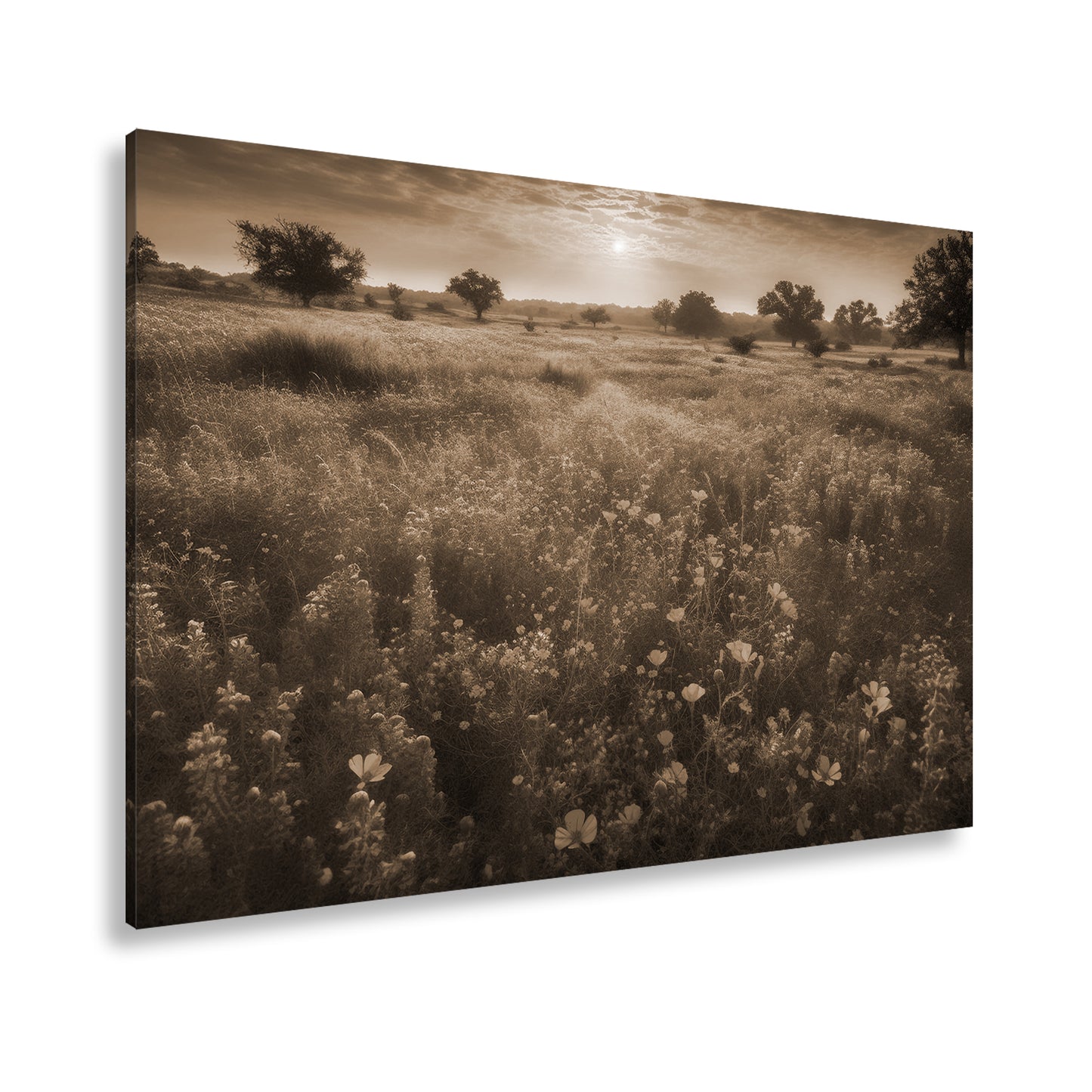 Hauptbild Sepia Standart