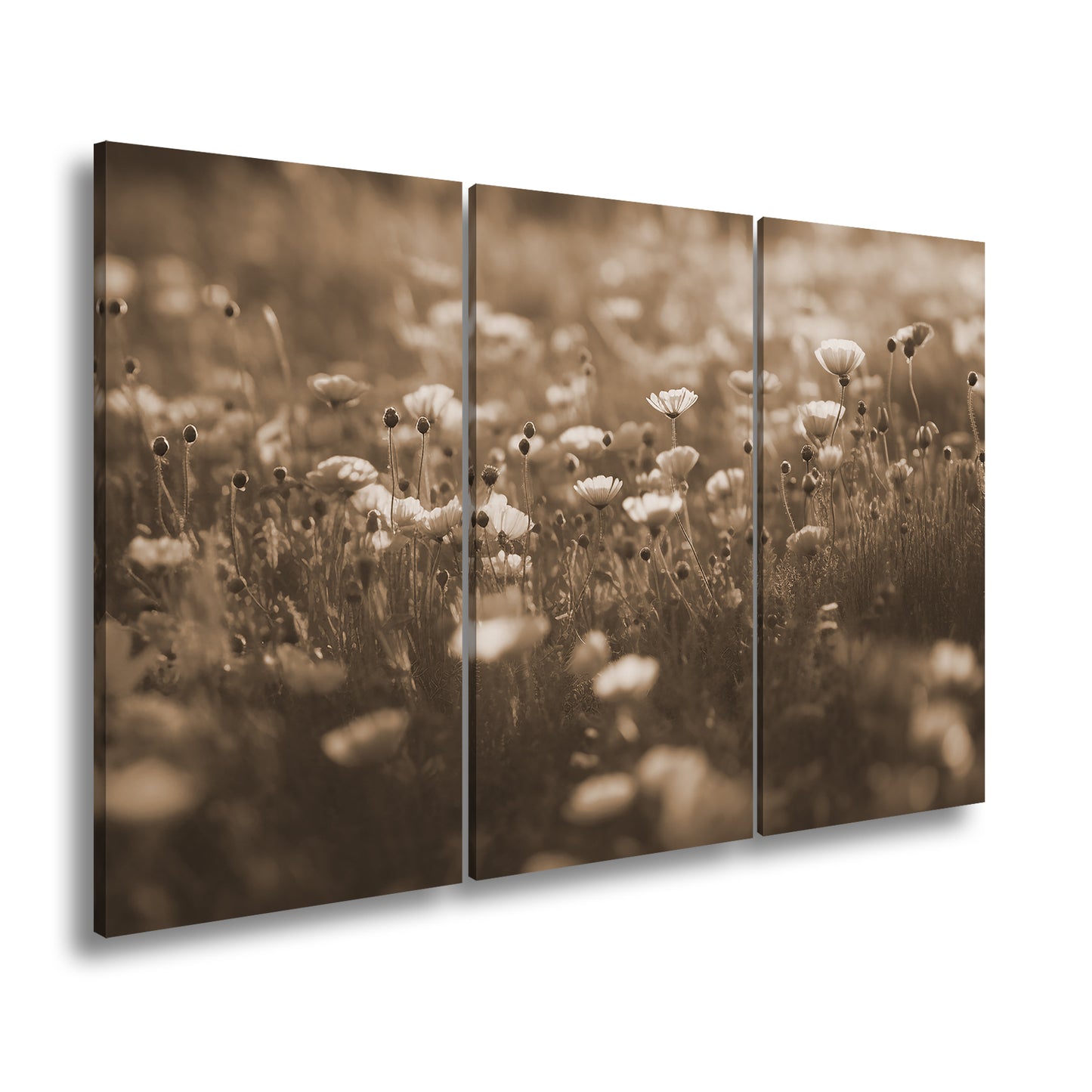 Hauptbild Sepia 3 Teilig