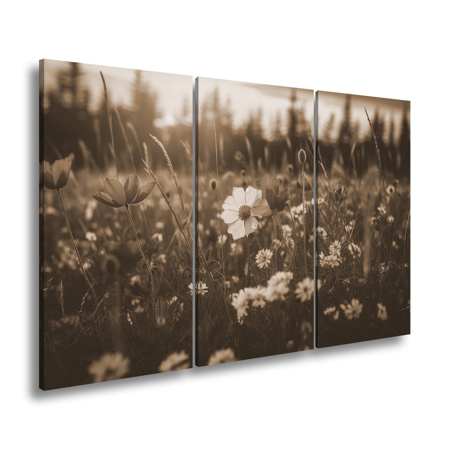 Hauptbild Sepia 3 Teilig