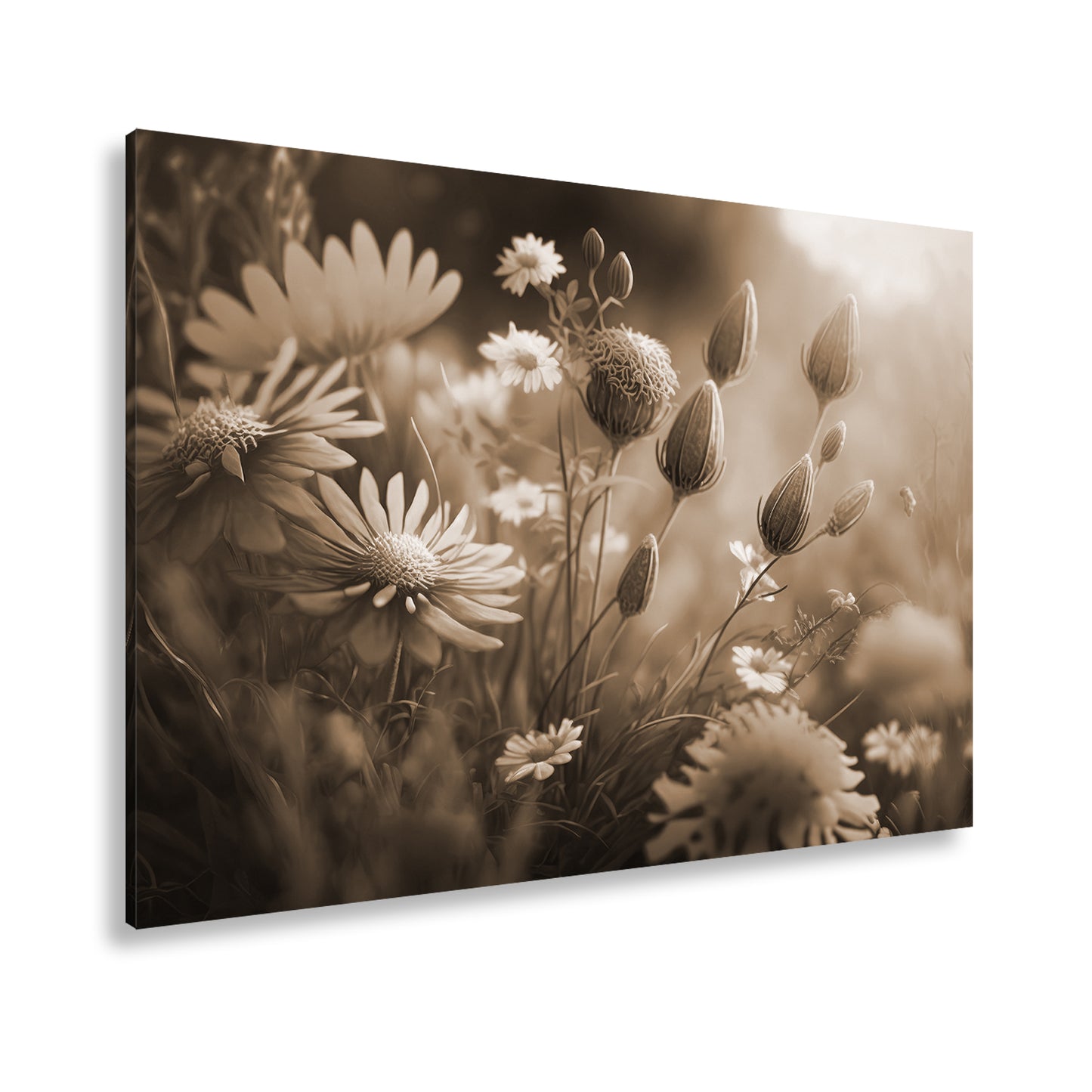Hauptbild Sepia Standart