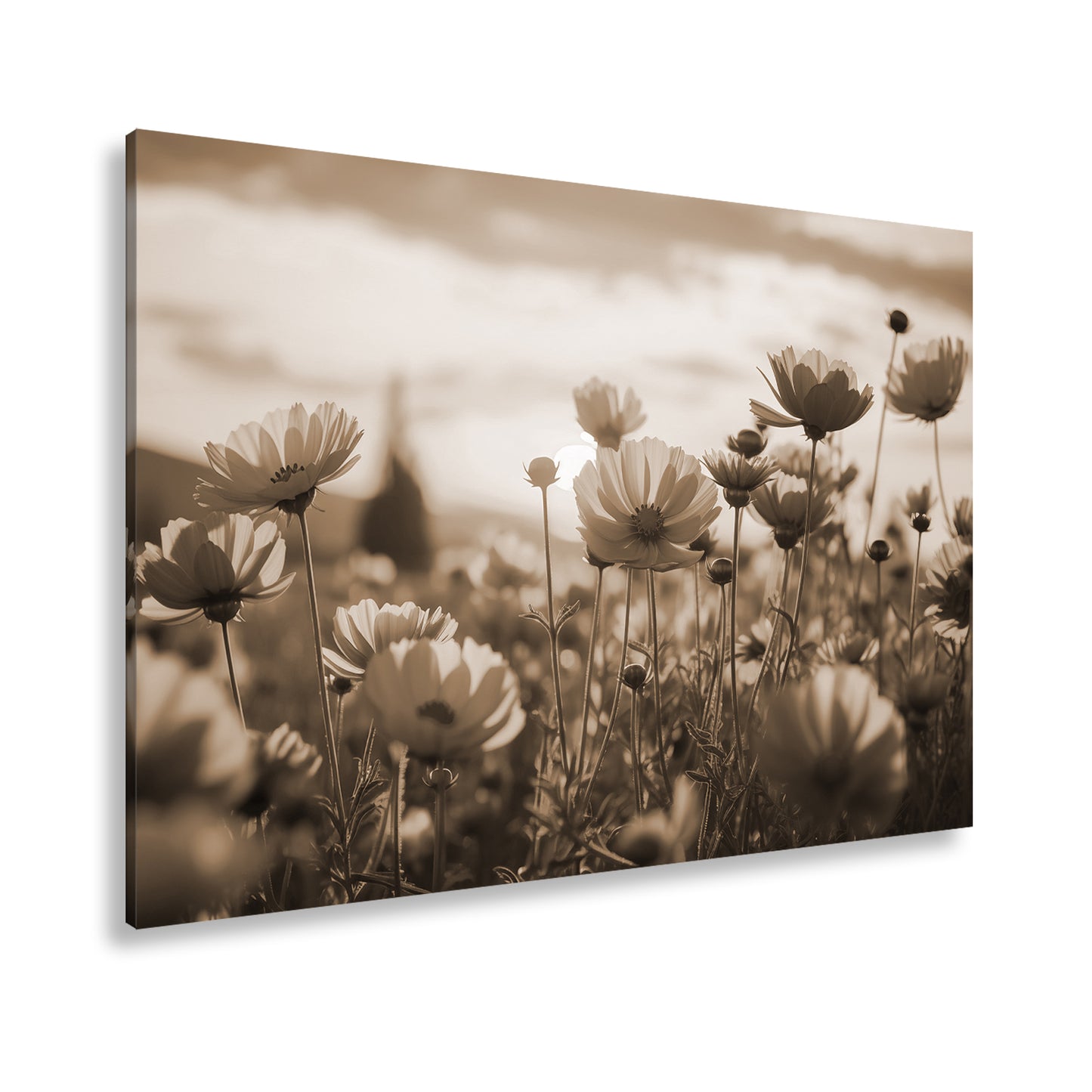 Hauptbild Sepia Standart