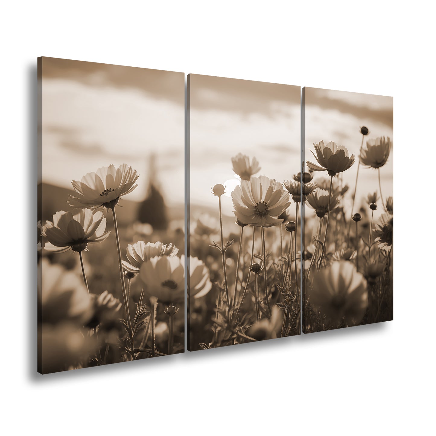 Hauptbild Sepia 3 Teilig