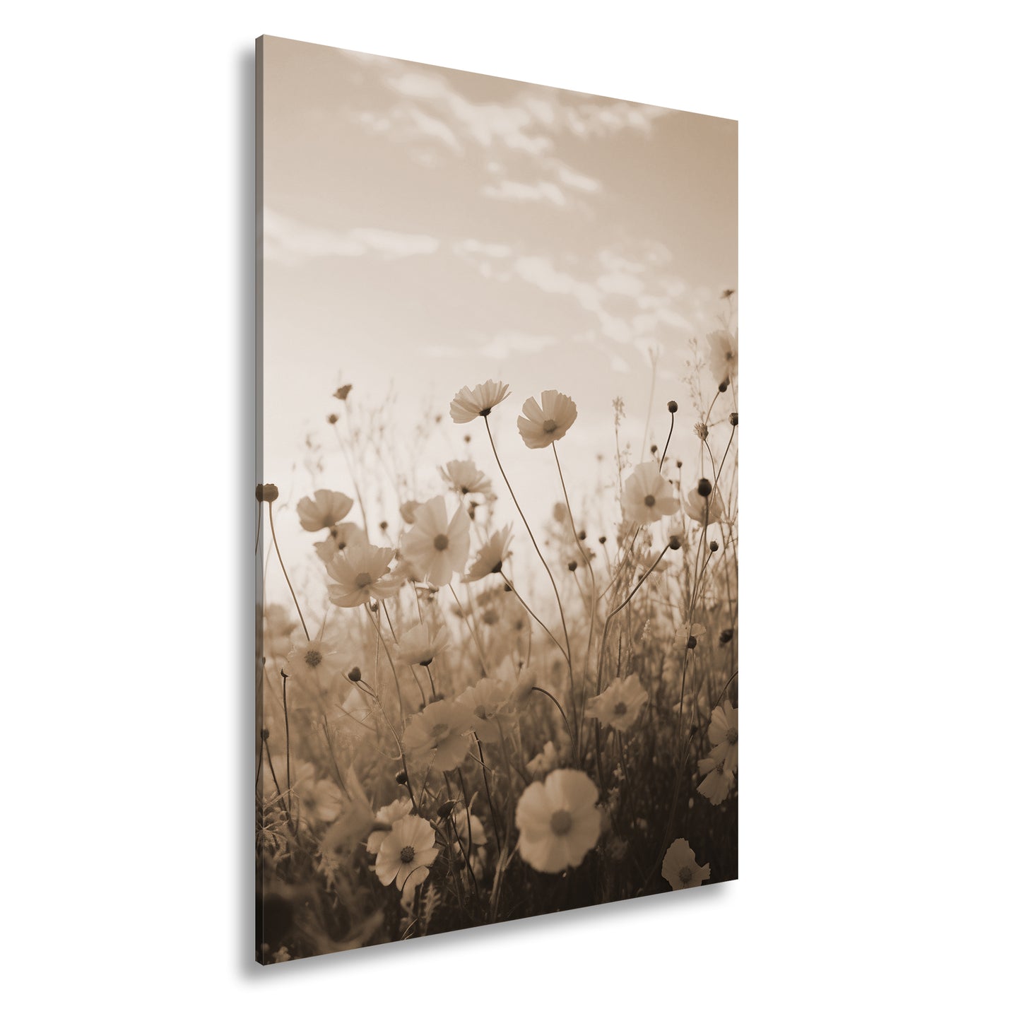 Hauptbild Sepia Standart