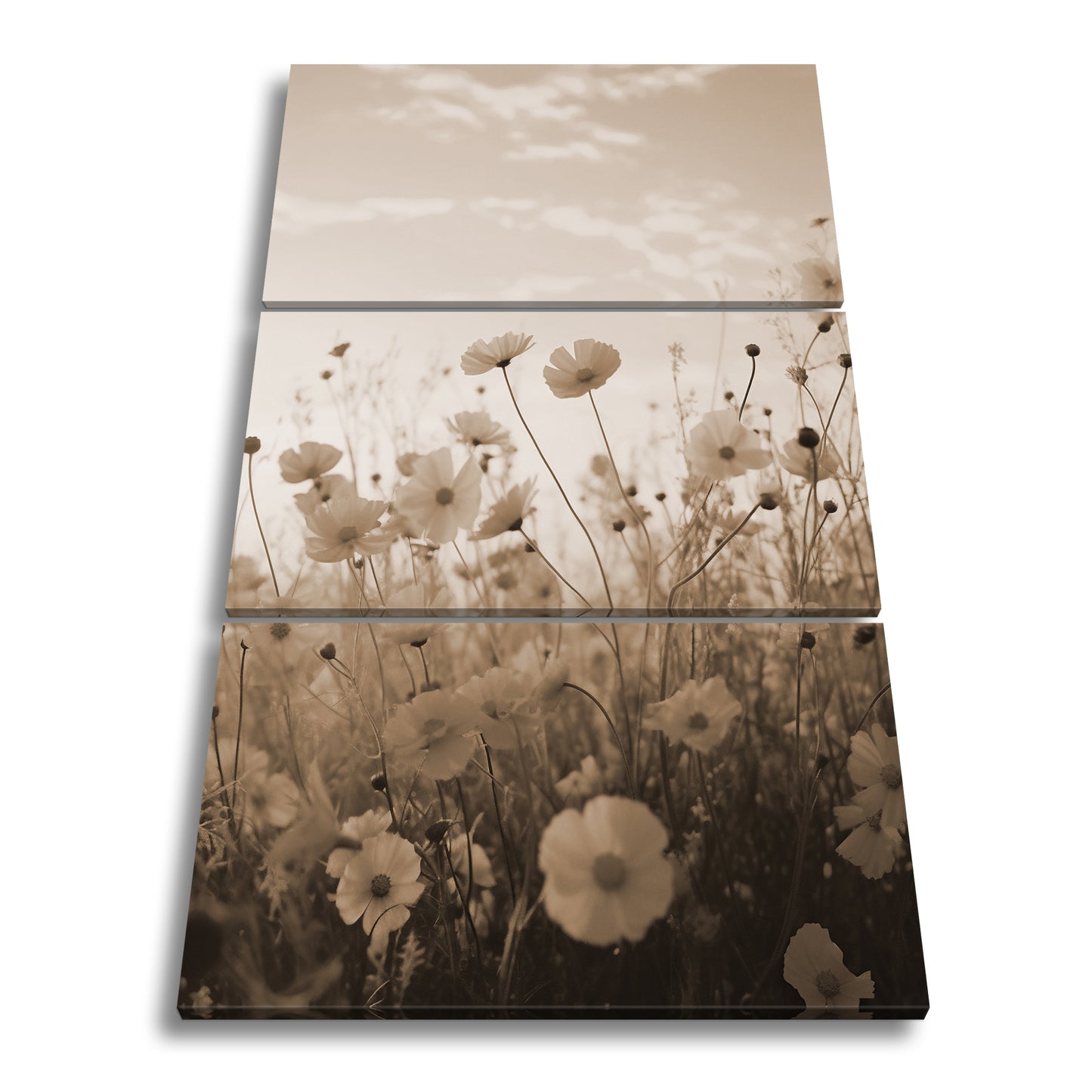 Hauptbild Sepia 3 Teilig