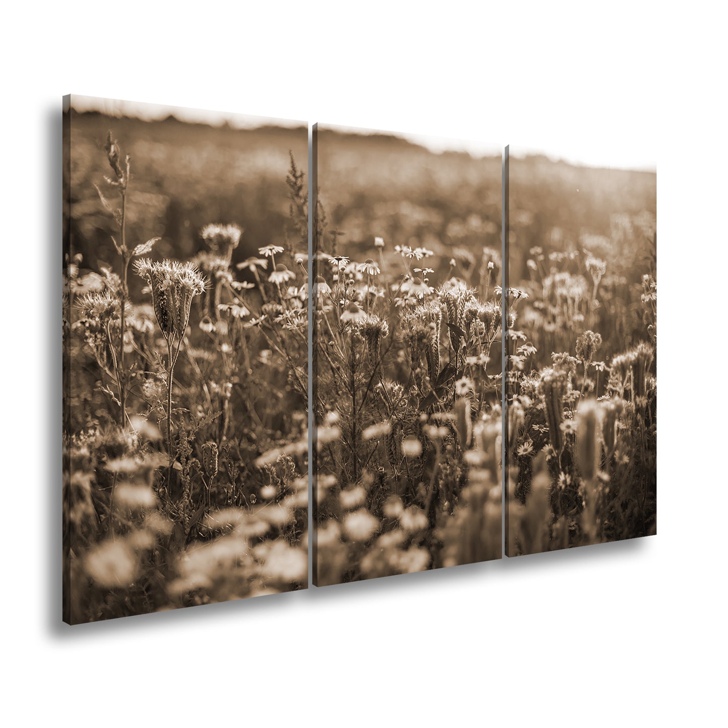 Hauptbild Sepia 3 Teilig