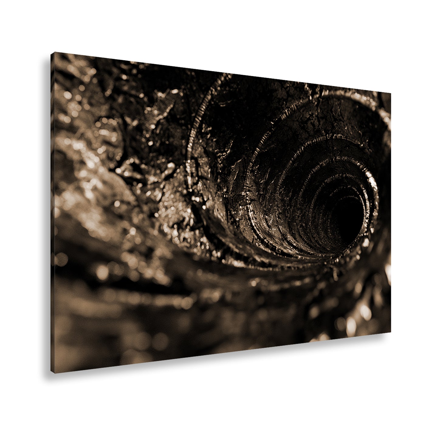 Hauptbild Sepia Standart