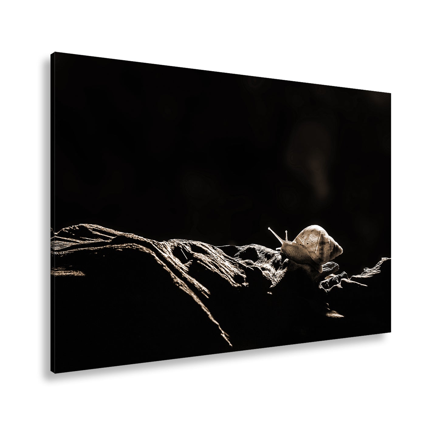 Hauptbild Sepia Standart