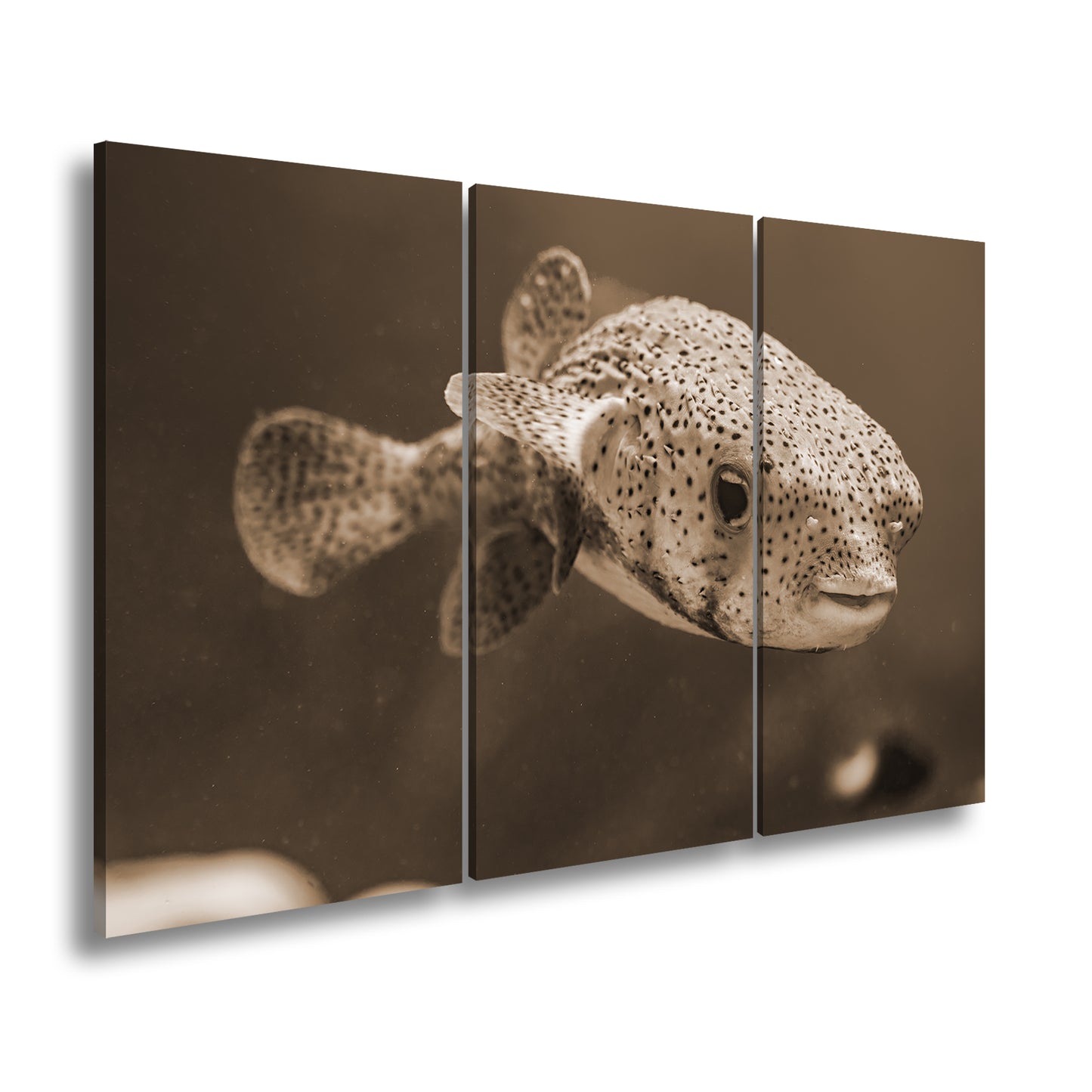 Hauptbild Sepia 3 Teilig