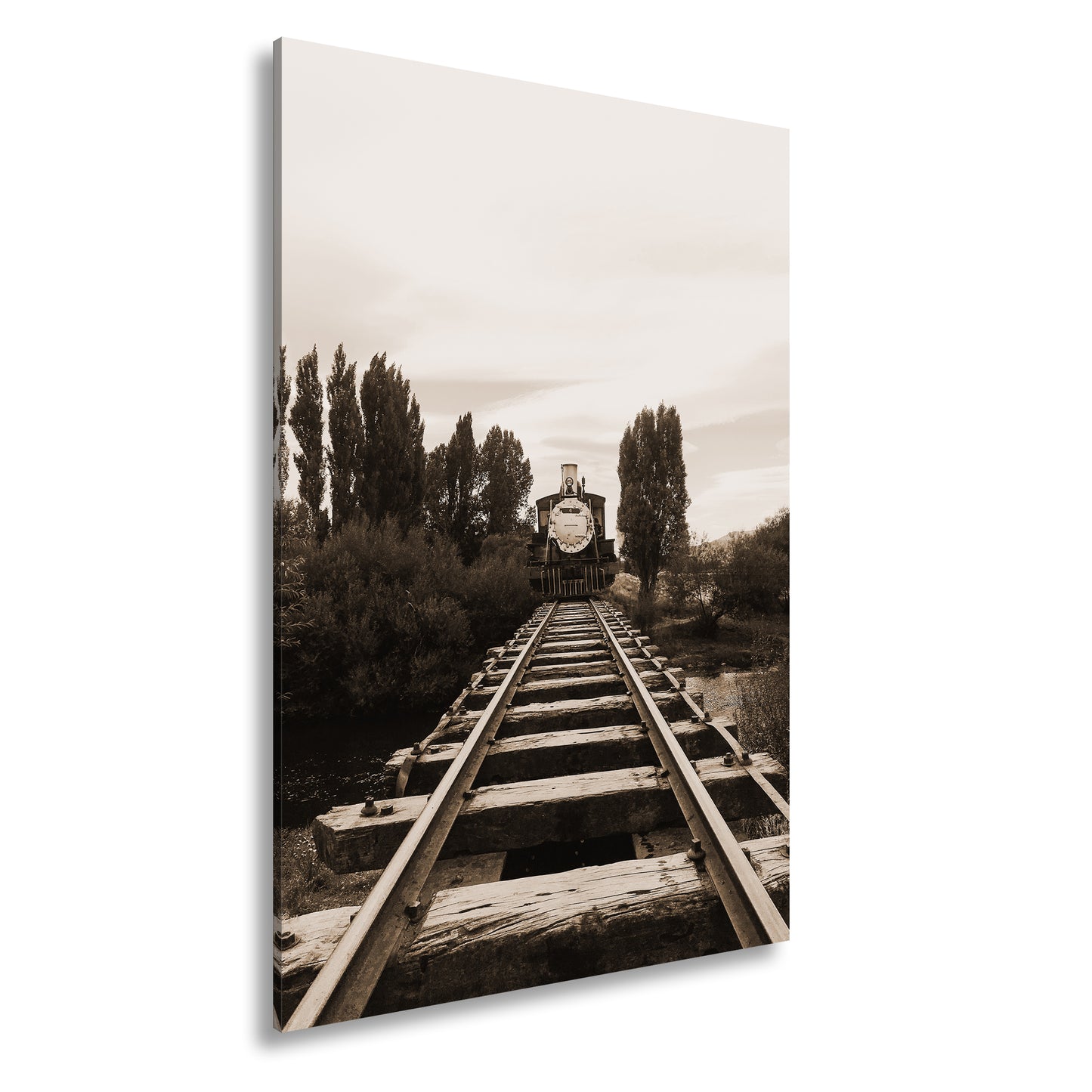 Hauptbild Sepia Standart
