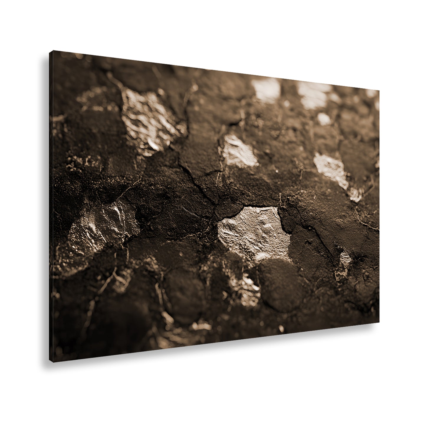 Hauptbild Sepia Standart