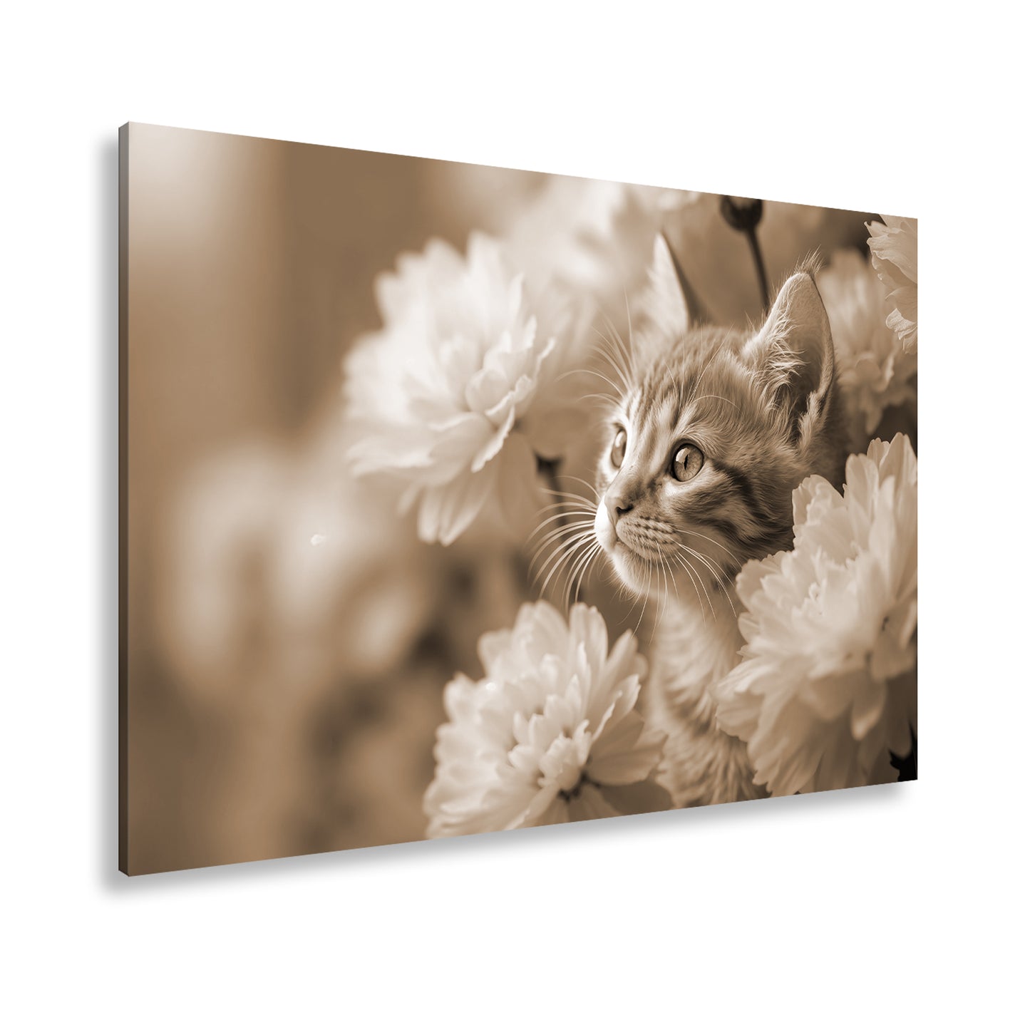 Hauptbild Sepia Standart