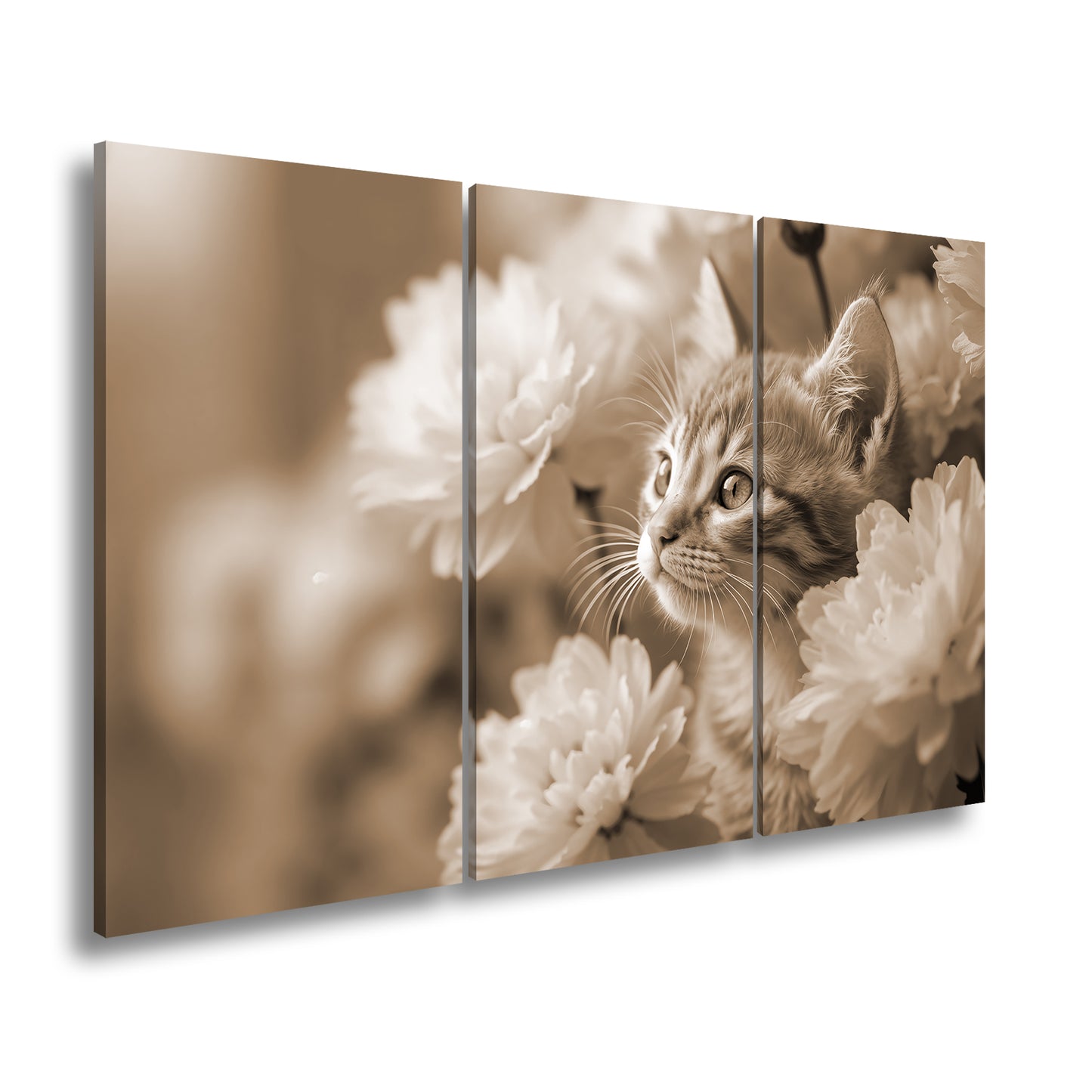 Hauptbild Sepia 3 Teilig
