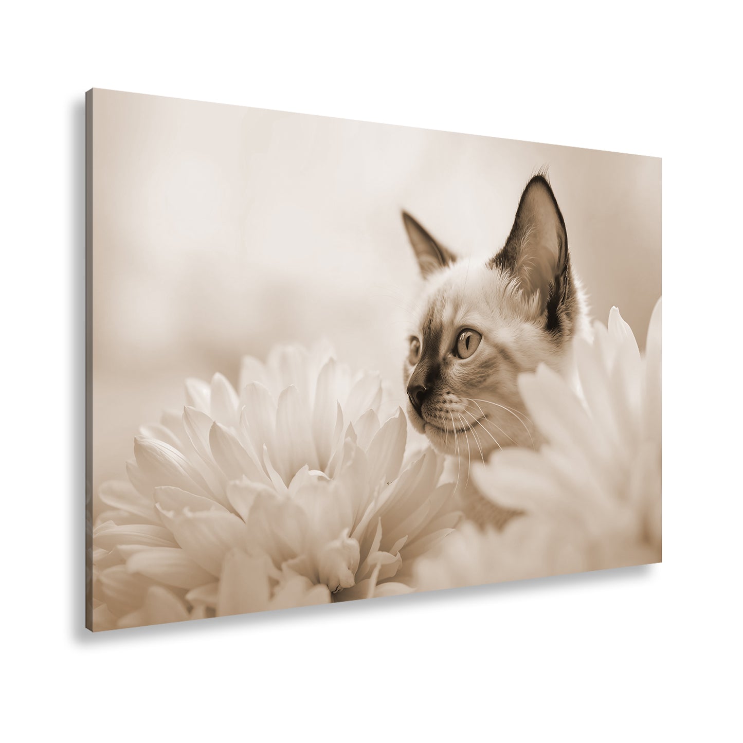 Hauptbild Sepia Standart