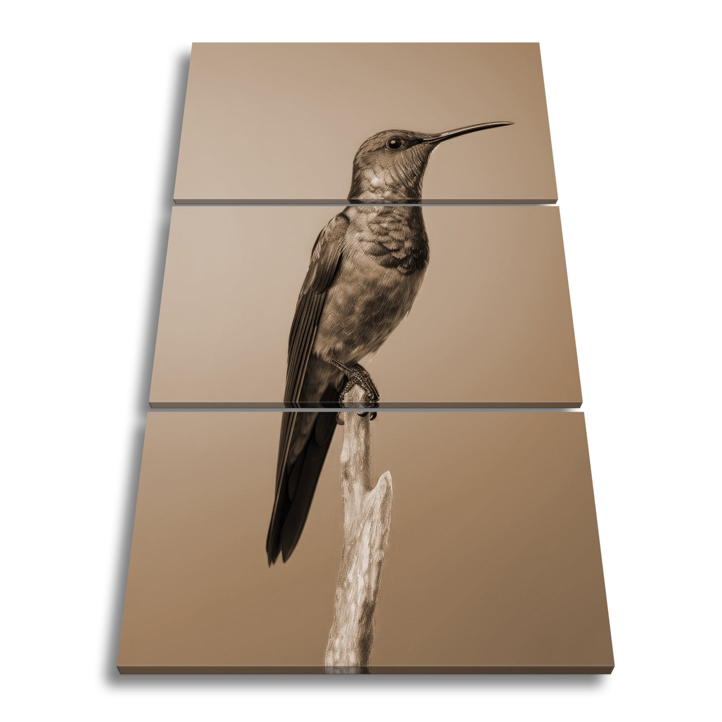 Hauptbild Sepia 3 Teilig